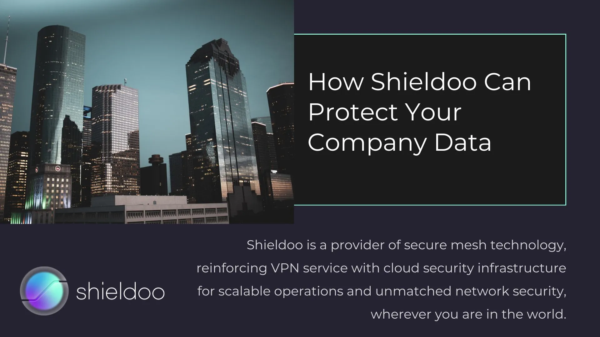 How Shieldoo Can Protect Your Company Data